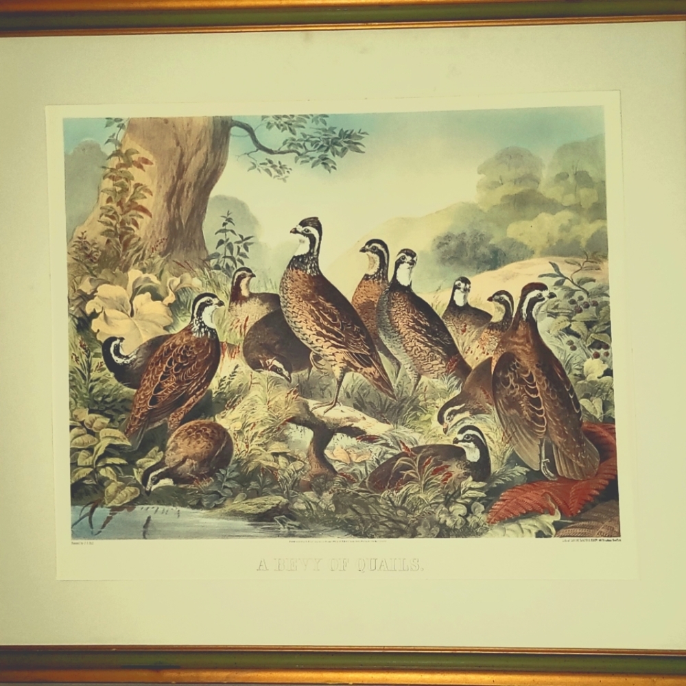 Bevy of Quails lithogram artwork